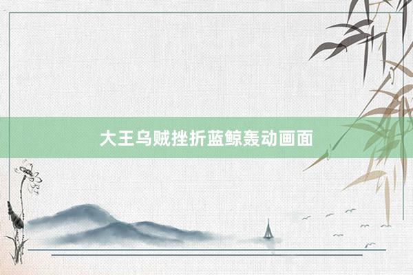 大王乌贼挫折蓝鲸轰动画面